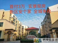 首付3萬，新區(qū)安個家